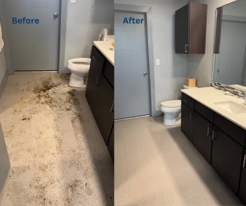 Bathroom before and after cleaning by Neat N Tidy
